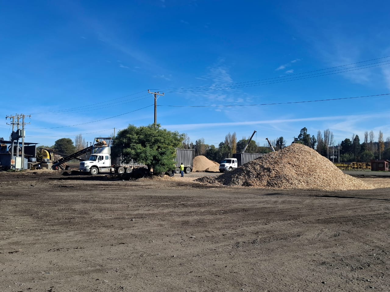 Operación forestal 4
