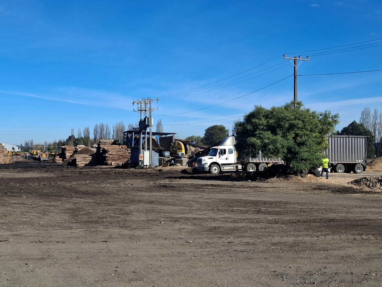 Operación forestal 6